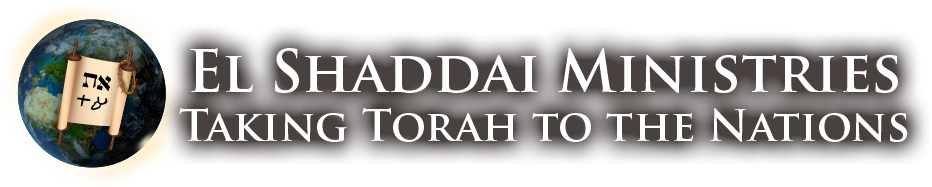 EL SHADDAI MINISTRIES