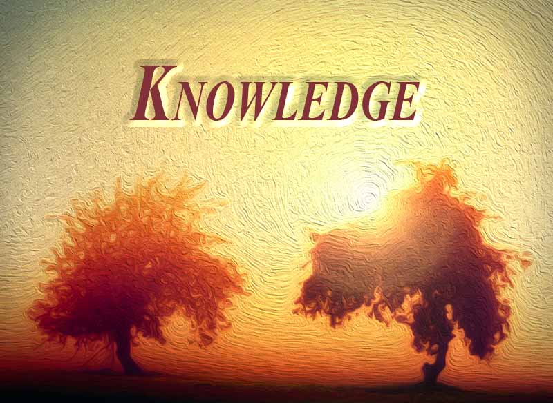 3rd May 2024: Our Daily deLIGHT~6th Day-Knowledge