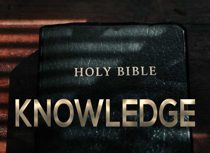 12th May 2023: Our Daily deLIGHT~6th Day-Knowledge