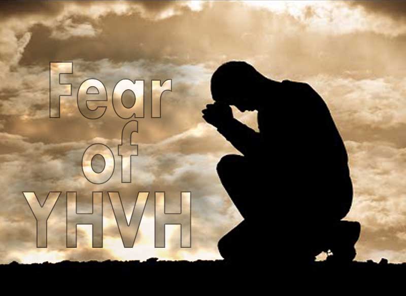 13th May 2023: Our Daily deLIGHT~7th Day-Fear of YHVH