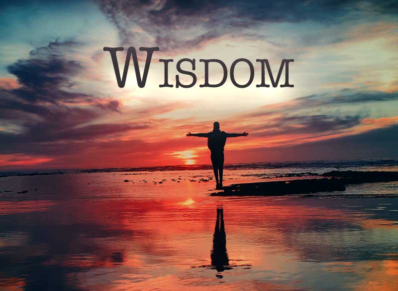 28th April 2024: Our Daily deLIGHT~1st Day-Wisdom