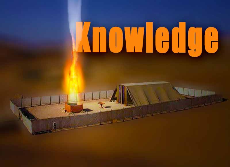26th May 2023: Our Daily DeLIGHT~6th Day-Knowledge