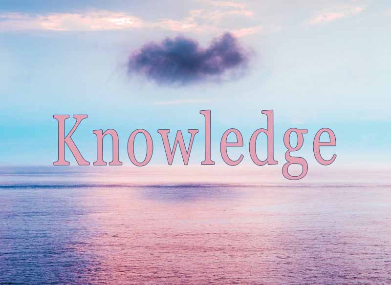 16th August 2024: Our Daily deLIGHT~6th Day-Knowledge