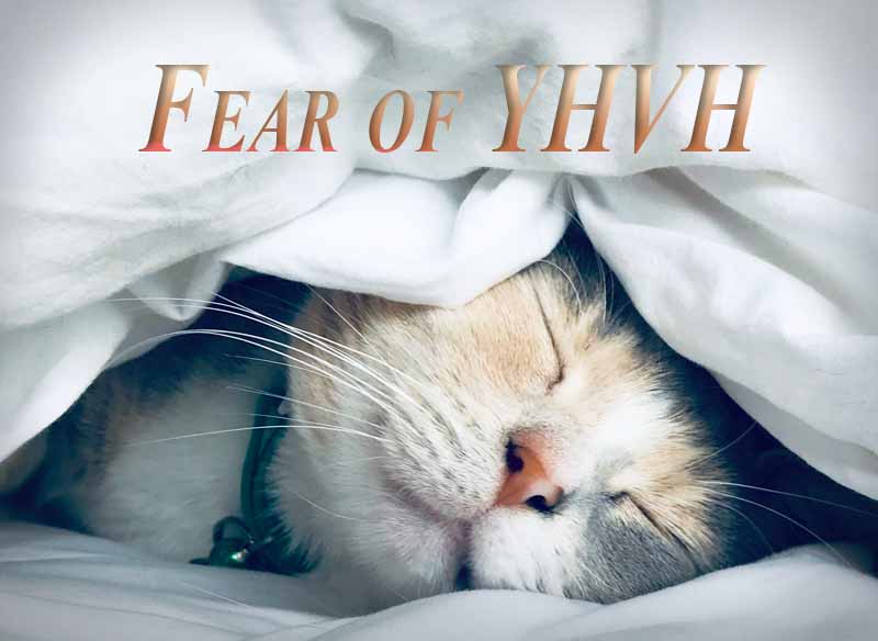 17th August 2024: Our Daily deLIGHT~7th Day-Fear of YHVH