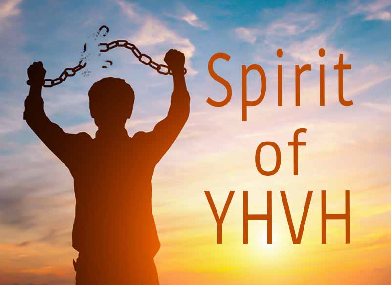 7th August 2024: Our Daily deLIGHT~4th Day-Spirit of YHVH