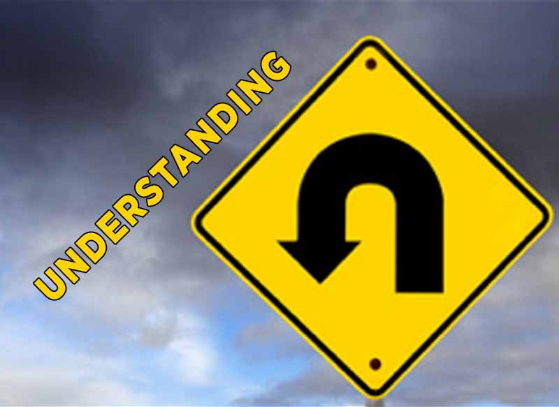9th September 2024: Our Daily deLIGHT~2nd Day-Understanding