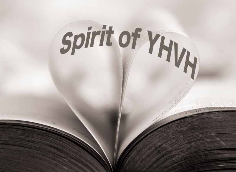 13th September 2023: Our Daily deLIGHT~4th Day-Spirit of YHVH