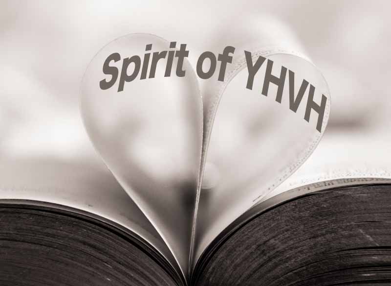 11th September 2024: Our Daily deLIGHT~4th Day-Spirit of YHVH