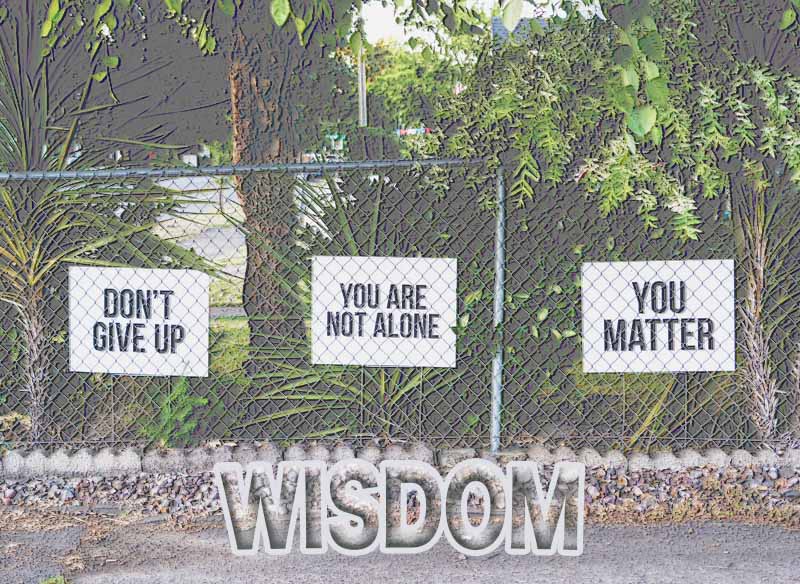 22nd September 2024: Our Daily deLIGHT~1st Day-Wisdom