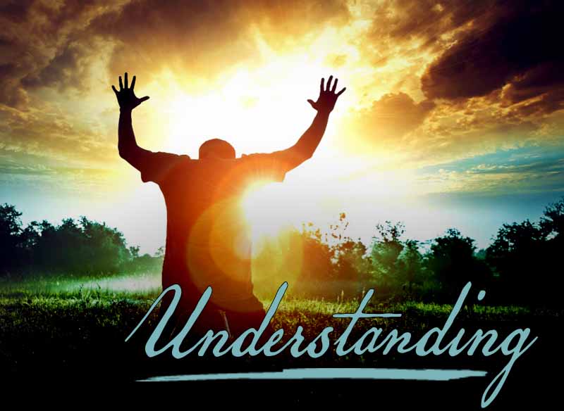 11th November 2024: Our Daily deLIGHT~2nd Day-Understanding