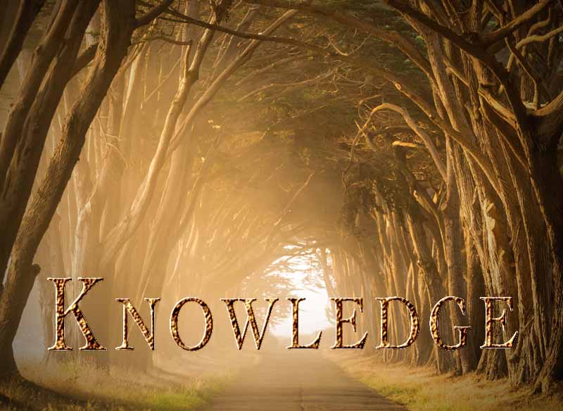 13th January 2023: Our Daily deLIGHT~6th Day-Knowledge