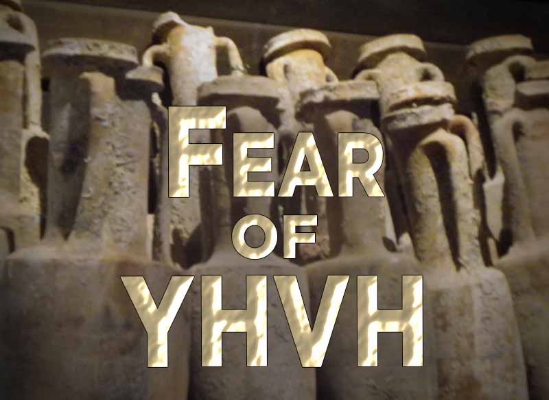 14th January 2023: Our Daily deLIGHT~7th Day-Fear of YHVH