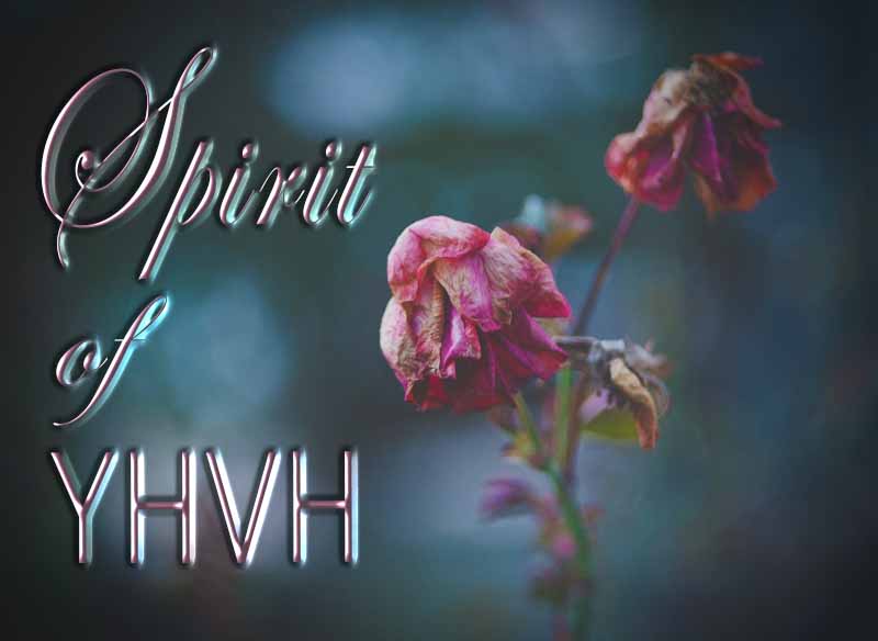 15th March 2023: Our Daily deLIGHT~4th Day-Spirit of YHVH