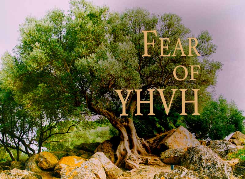18th March 2023: Our Daily deLIGHT~7th Day-Fear of YHVH
