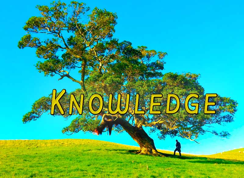 22nd March 2024: Our Daily deLIGHT~6th Day-Knowledge