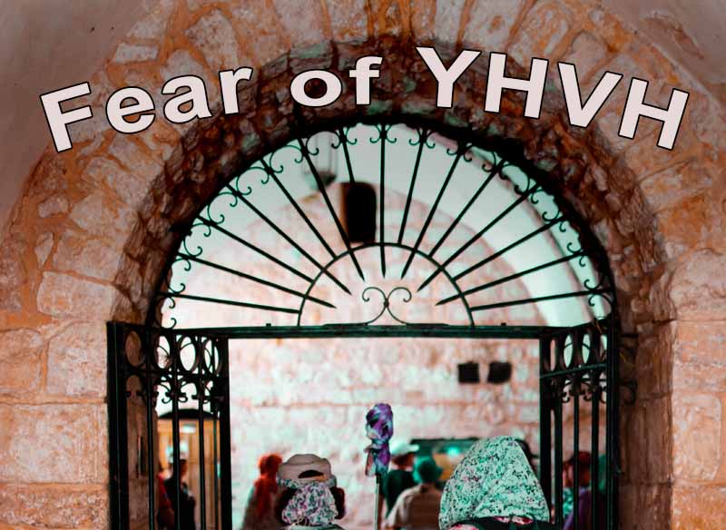 6th April 2024: Our Daily deLIGHT~7th Day-Fear of YHVH