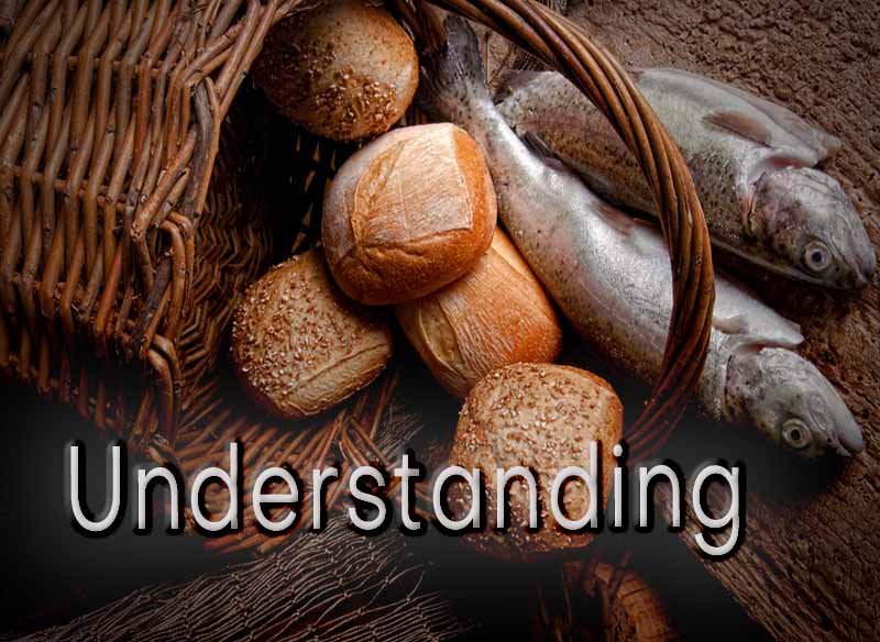 8th April 2024: Our Daily deLIGHT~2nd Day-Understanding