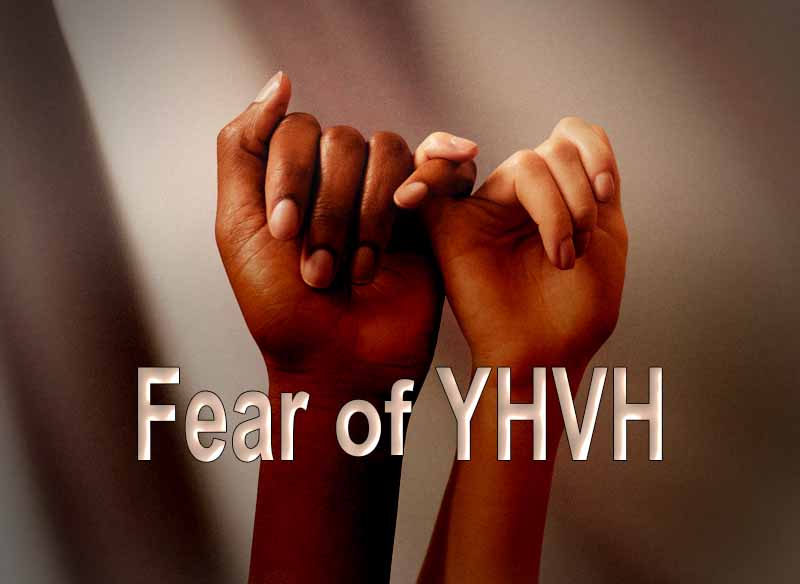 13th April 2024: Our Daily deLIGHT~7th Day-Fear of YHVH