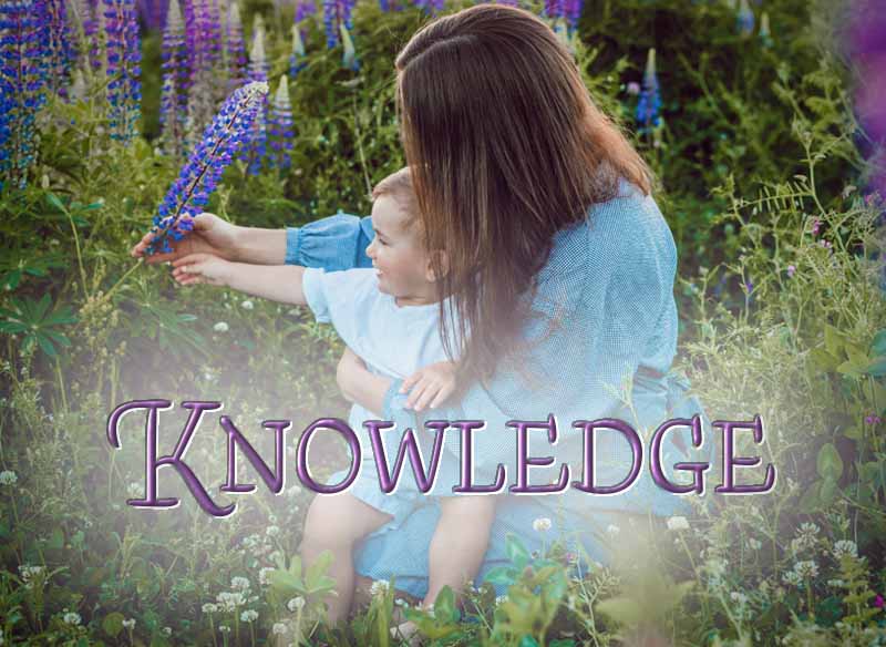 19th April 2024: Our Daily deLIGHT~6th Day-Knowledge