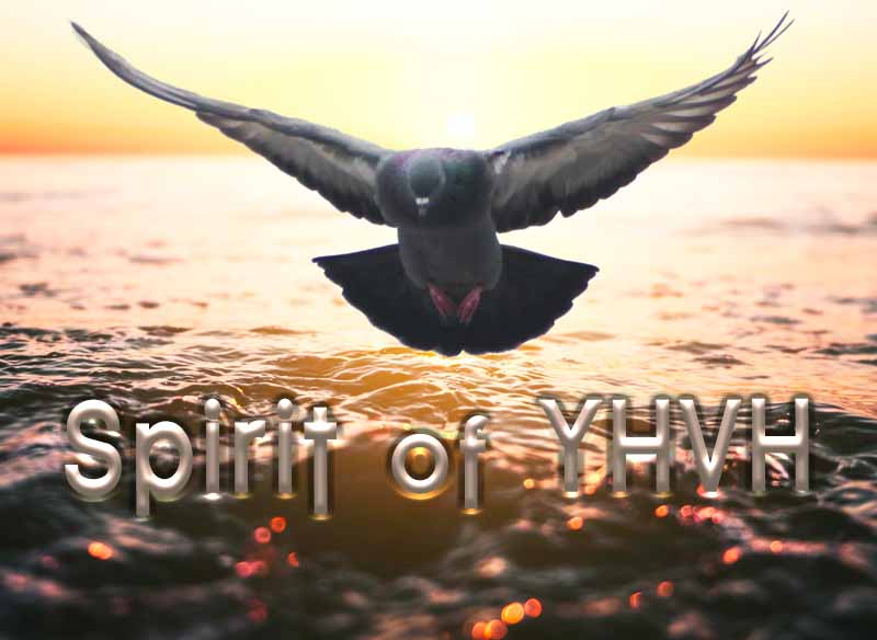 26th April 2024: Our Daily deLIGHT~4th Day-Spirit of YHVH