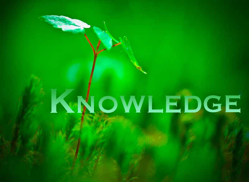 26th April 2024: Our Daily deLIGHT~6th Day-Knowledge