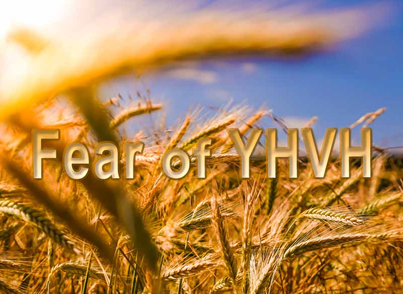 27th April 2024: Our Daily deLIGHT~7th Day-Fear of YHVH