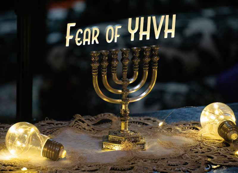 4th May 2024: Our Daily deLIGHT~7th Day-Fear of YHVH