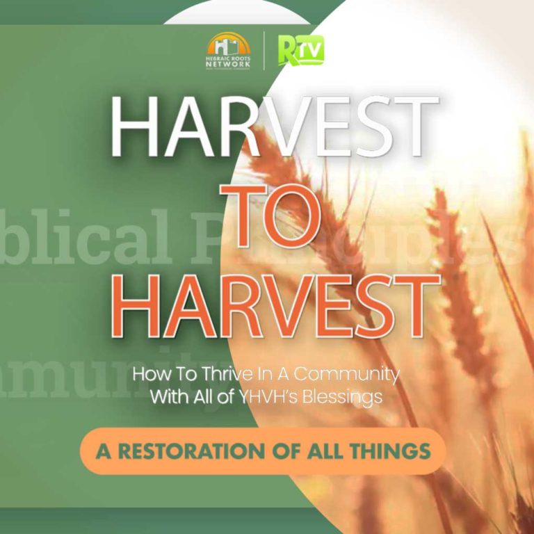 Harvest To Harvest Ep 9