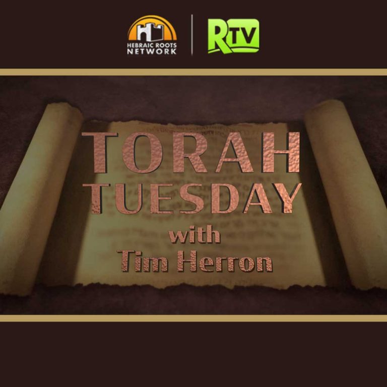 Torah Tuesday Ep 29